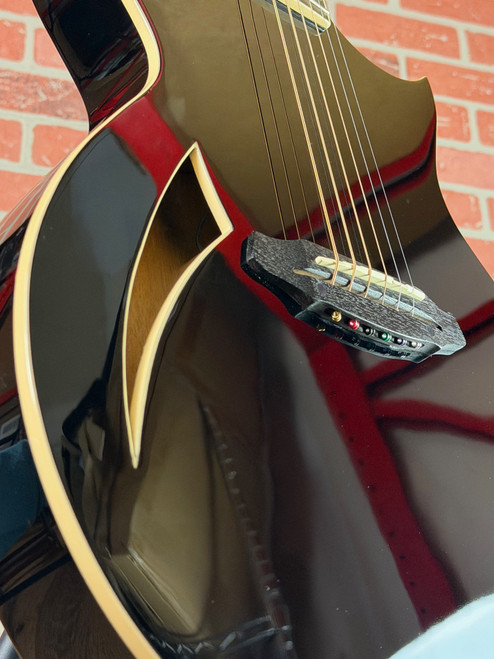 ESP LTD TL-6 Thinline Acoustic-Electric Guitar - Black