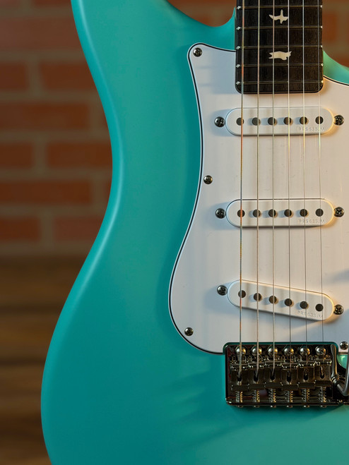 PRS Silver Sky Limited Edition Rosewood Fingerboard Electric Guitar - Wild Blue