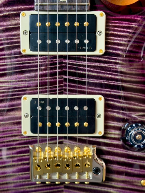 PRS Custom 24 10-Top Electric Guitar - Custom Purple Aurora Borealis