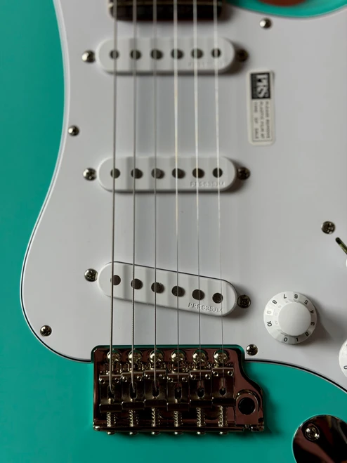 PRS Silver Sky Limited Edition Rosewood Fingerboard Electric Guitar - Wild Blue