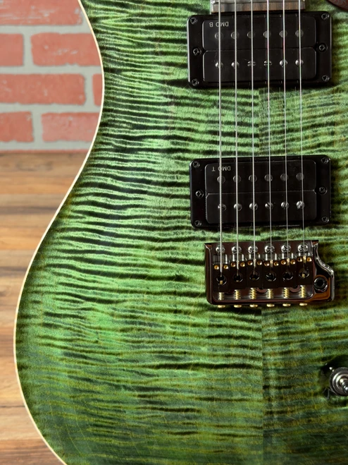 PRS Custom 24-08 10-Top Electric Guitar - Sage with Stained Neck