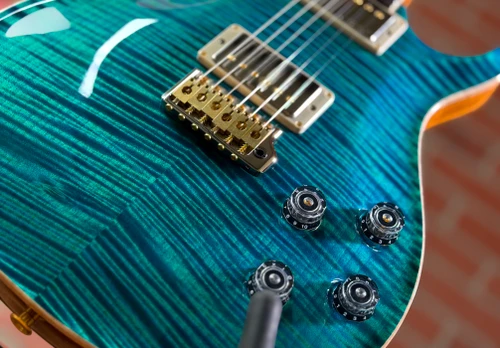 PRS Wood Library McCarty 594 Tremolo 10-Top Electric Guitar - Private Stock Laguna