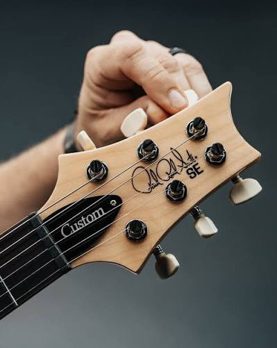 Shop Online - Instrument Accessories - Parts - No Limit Guitar Co