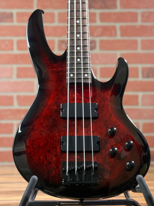 ESP LTD B-204DX 4-String Electric Bass Guitar - Red Burst