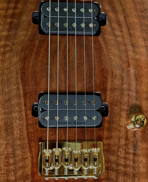 ESP USA TE-II HT Limited Edition Electric Guitar | Natural Claro Walnut/See Thru Open White Grain (#5 of 10)