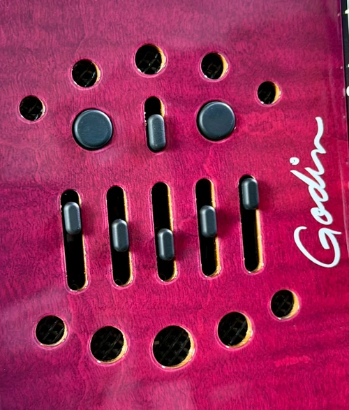 Godin ACS Steve Stevens 25th Anniversary Nylon Acoustic-Electric Guitar - Edition Limitée Purple | Pre-Production Prototype