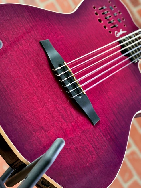 Godin ACS Steve Stevens 25th Anniversary Nylon Acoustic-Electric Guitar - Edition Limitée Purple | Pre-Production Prototype