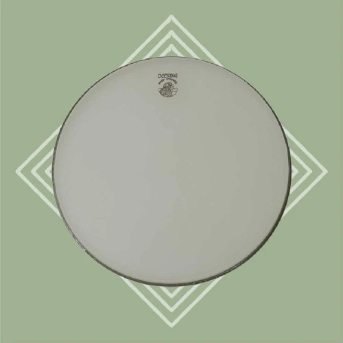 Deering Banjo Company Renaissance Banjo Head - 12" Low Crown (Deering/ Vega Models)