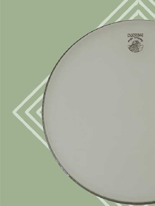 Deering Banjo Company Renaissance Banjo Head - 12" Low Crown (Deering/ Vega Models)