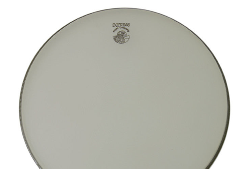 Deering Banjo Company Renaissance Banjo Head - 11" Medium Crown