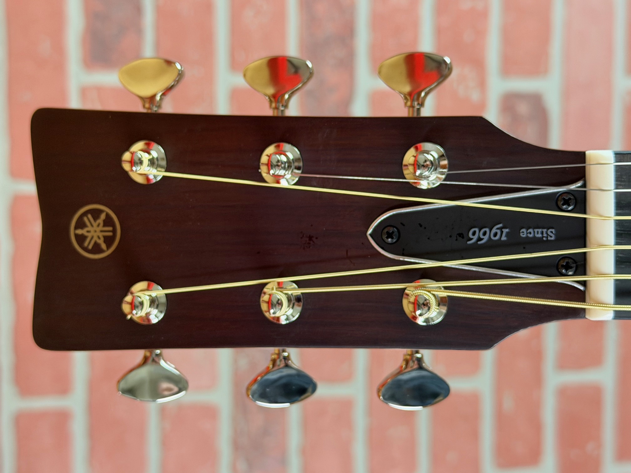 Shop Yamaha FSX5 Red Label Acoustic-Electric Guitar - Natural | No