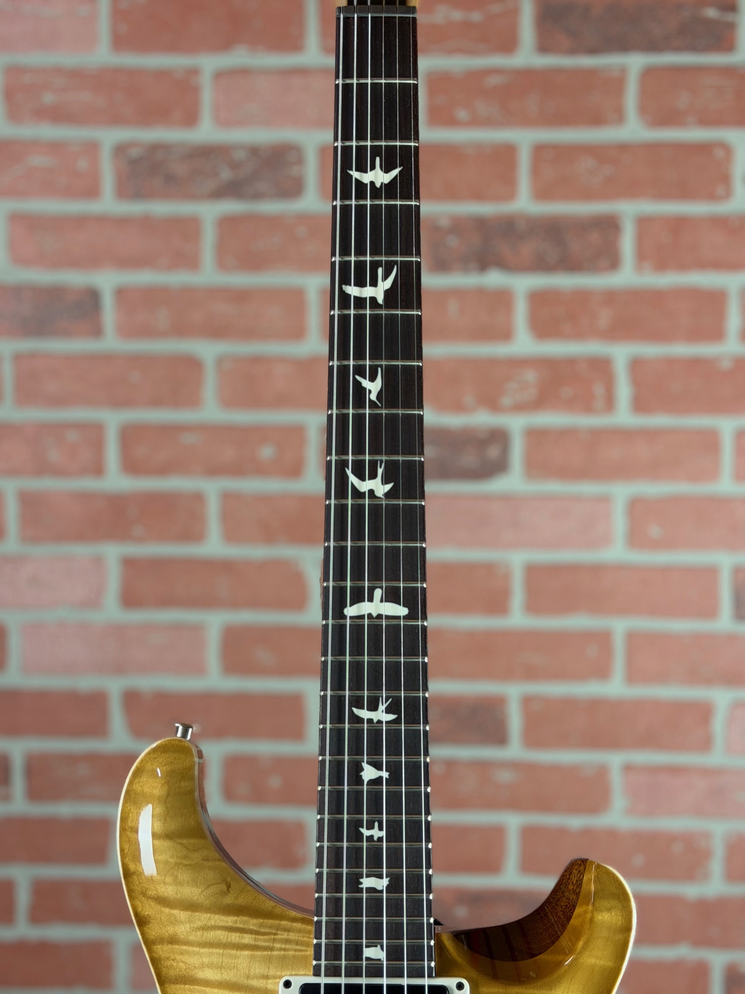 PRS CE24 メイプルトップ Shop PRS CE 24 Electric Guitar - Flamed Maple Top | No Limit Guitar Co