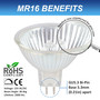 Simba Lighting® Halogen MR16 12V 20W Bulbs GU5.3 2-Pin BAB Cover Glass, 10-Pack