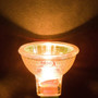 Simba Lighting® Halogen MR11 12V 20W Bulbs GU4 2-Pin FTD Cover Glass, 10-Pack
