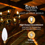 Simba Lighting® Candelabra Torpedo Clear B10 CTC 40W E12 Base Light Bulbs 120V Warm White 2700K, 12 Pack