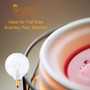 Simba Lighting® Scentsy Wax Warmer G16.5 Round Bulb 25W E12 Candelabra Base Clear Glass, 4 Pack