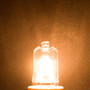 Simba Lighting® Halogen Light Bulb G9 T4 40W JCD Bi-Pin 120V, Dimmable, 2700K Warm White, 10-Pack