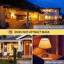 Simba Lighting® LED Bug Repelling A15 5W 40W Equivalent Bulbs 120V E26 Base 2000K Amber 4-Pack