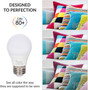 Simba Lighting® LED A15 4W 40W Equivalent Small Bulbs 120V E26 Base 5000K Daylight 4-Pack