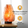 Simba Lighting® T6.5 15W Replacement Bulb Mini Tube Shape 120V, E12 Candelabra Base, 2700K, 6-Pack