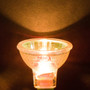 Simba Lighting® Halogen MR11 12V 10W Bulbs GU4 2-Pin FTD Cover Glass, 6-Pack