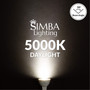 Simba Lighting® LED MR16 3.5W 20W Halogen Replacement Bulbs 12V GU5.3 BiPin 5000K Daylight 10-Pack