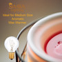 Simba Lighting® Aromatic Medium Size Wax Warmer Mini Globe G30 Round Bulb 25W E12 Candelabra Base Clear Glass, 12 Pack