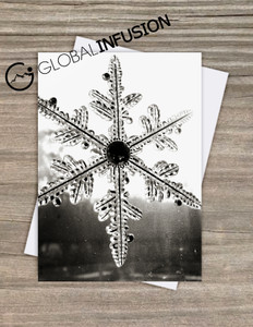 Winter Snowflake Christmas Card (10 count) Winter Snowflake Christmas Card (10 count)