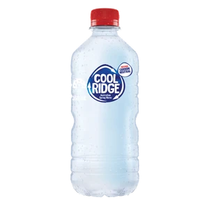 Cool Ridge Water 350mL Bottles 24 Pack
