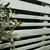 A rich, seasonal garden fence painted in the popular colour Chartwell Green, using HMG's Fence and Shed Paint Hydropro Garden Paint.