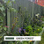 Deep forest green garden paint on timber fencing. Bold exterior wood paint designed for fences, sheds and outdoor structures in natural garden landscapes.