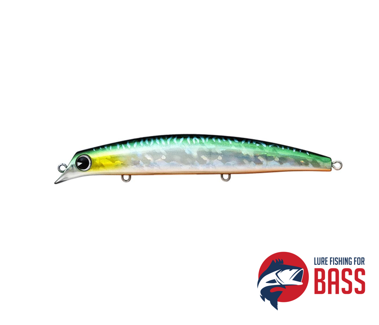 Ima Sasuke Ripple 1 Mackerel Ima Sasuke Ripple 1 Mackerel