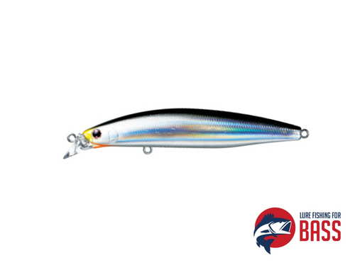 Daiwa Shore Line Shiner Back Black Flash 97F VERTICE