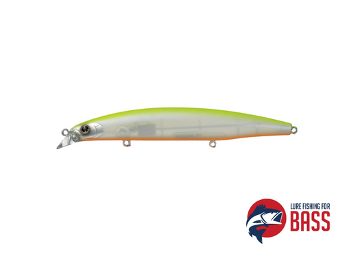 Daiwa Shore Line Shiner Chart Back Pearl  Z 120F VERTICE