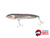 Heddon One Knocker Spook Speckled Trout 21g