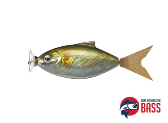 Fish Arrow Motor Shad - MECHANISED TAIL