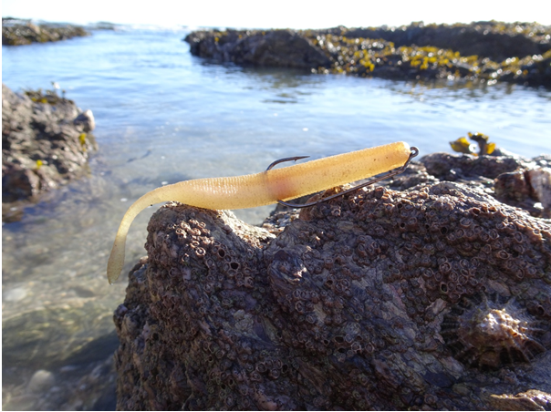osp dolive stick
