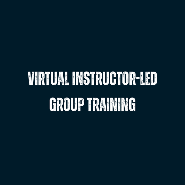 VILT Group Training