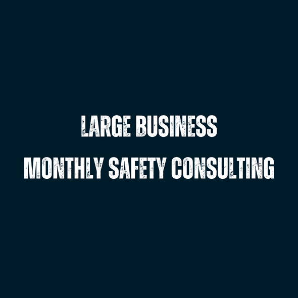 Large Business: Monthly Safety Consulting