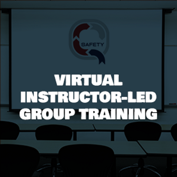 VILT Group Training Class