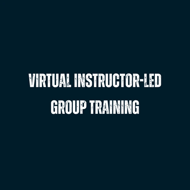 VILT Group Training