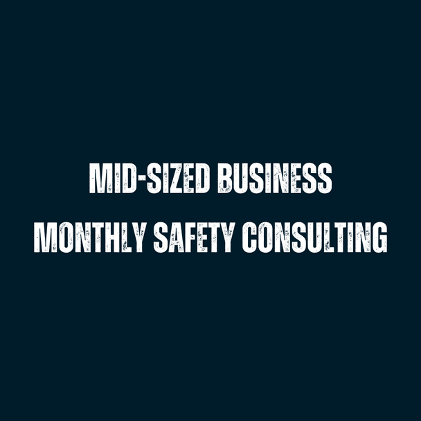 Mid-Sized Business: Monthly Safety Consulting