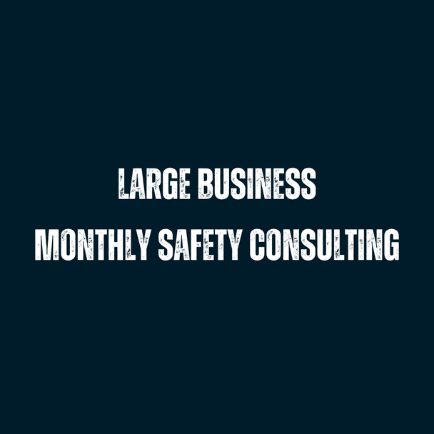 Large Business: Monthly Safety Consulting