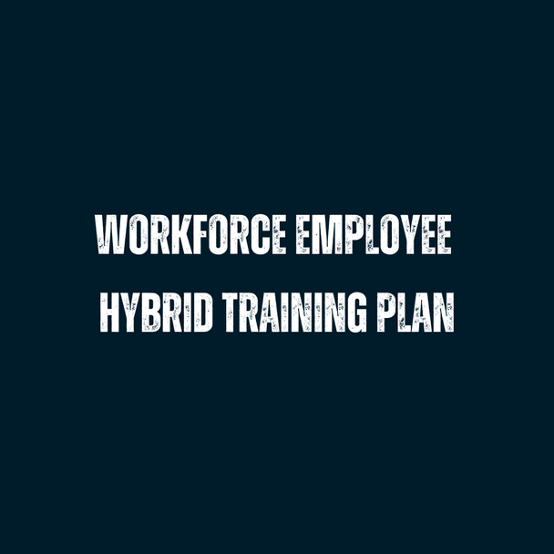 Workforce Employee Hybrid Training Plan