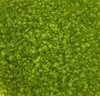 Lime Green Transparent 11/0 seed beads