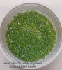 Lime Transparent Lustered 6/0 seed beads