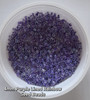 Purple Colour-Lined Rainbow 6/0 seed beads