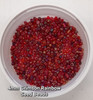 Crimson Rainbow 6/0 seed beads