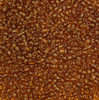 Brown Transparent 8/0 seed beads