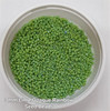 Lime Green Opaque Rainbow 8/0 seed beads